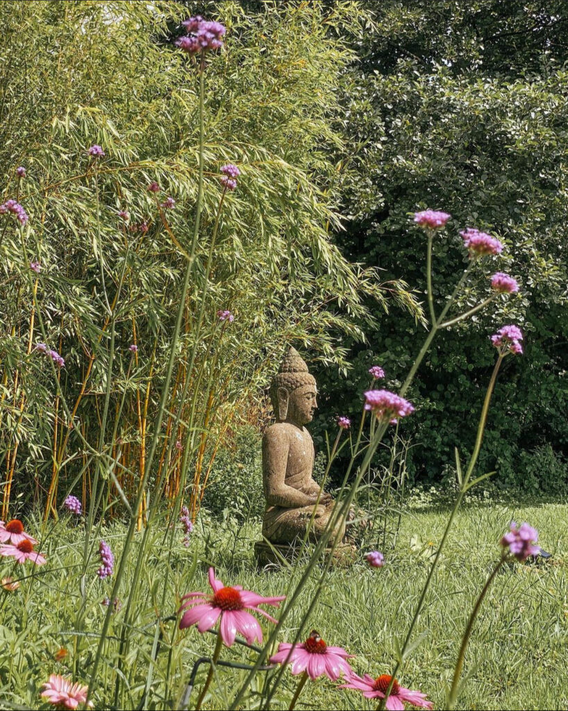 Blick auf ein Bambusbeet mit einer Buddha-Figur bei Westwoodgarden